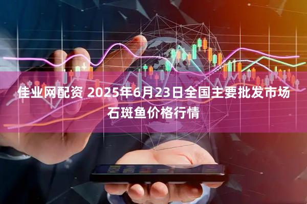 佳业网配资 2025年6月23日全国主要批发市场石斑鱼价格行情