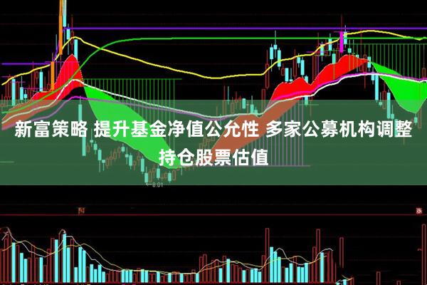 新富策略 提升基金净值公允性 多家公募机构调整持仓股票估值