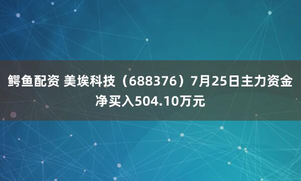 鳄鱼配资 美埃科技（688376）7月25日主力资金净买入504.10万元
