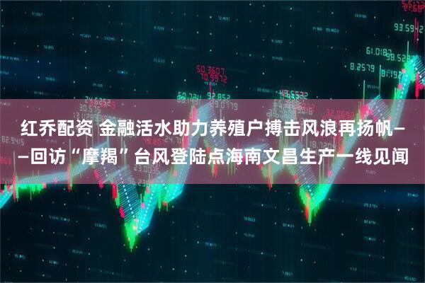红乔配资 金融活水助力养殖户搏击风浪再扬帆——回访“摩羯”台风登陆点海南文昌生产一线见闻