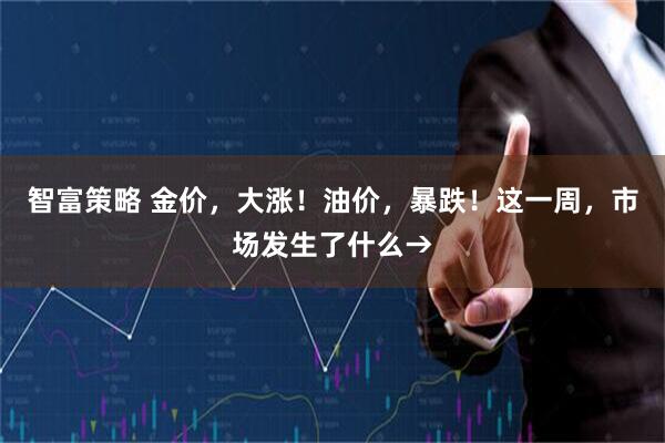 智富策略 金价，大涨！油价，暴跌！这一周，市场发生了什么→