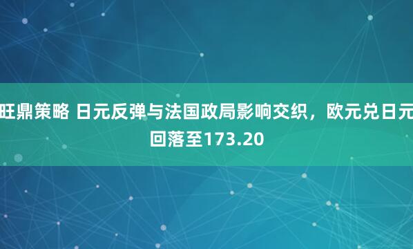 旺鼎策略 日元反弹与法国政局影响交织，欧元兑日元回落至173.20