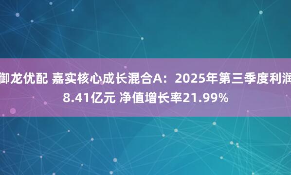 御龙优配 嘉实核心成长混合A:2025年第三季度利润8.41亿元 净值增长率21.99%