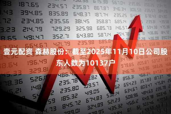 壹元配资 森赫股份：截至2025年11月10日公司股东人数为10137户