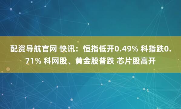 配资导航官网 快讯：恒指低开0.49% 科指跌0.71% 科网股、黄金股普跌 芯片股高开