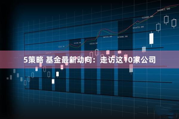 5策略 基金最新动向：走访这10家公司