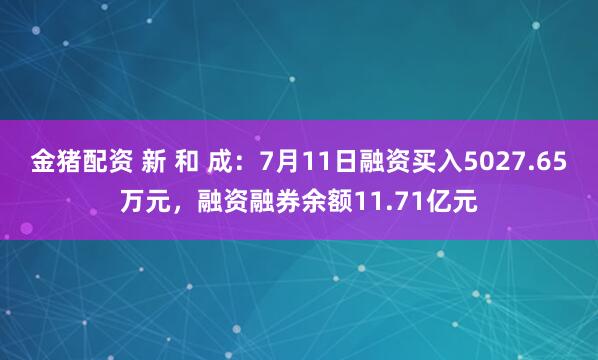 金猪配资 新 和 成：7月11日融资买入5027.65万元，融资融券余额11.71亿元